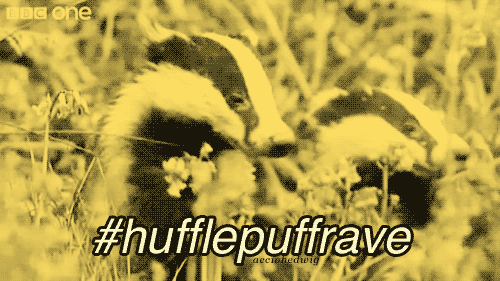 hufflepuff-rave